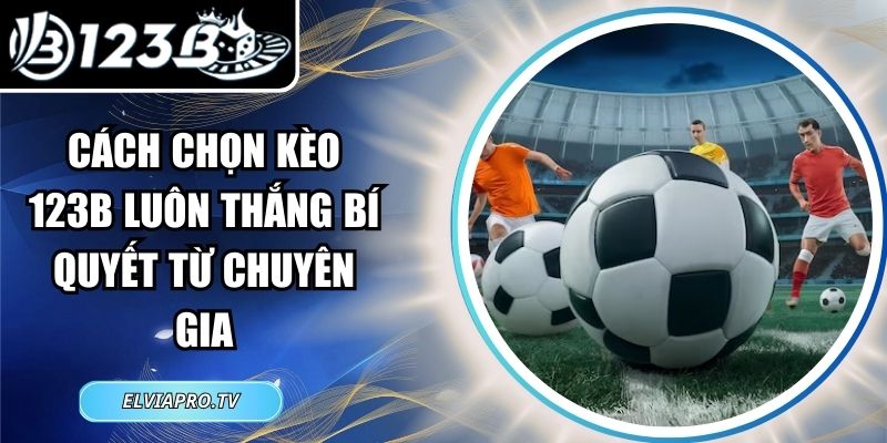 Cách Chọn Kèo 123B Luôn Thắng Bí Quyết Từ Chuyên Gia